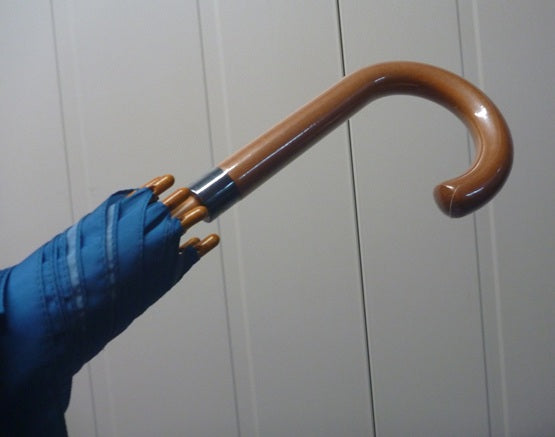 Soake Emily Smith Art Walking Stick Umbrella Thomas the Turtle
