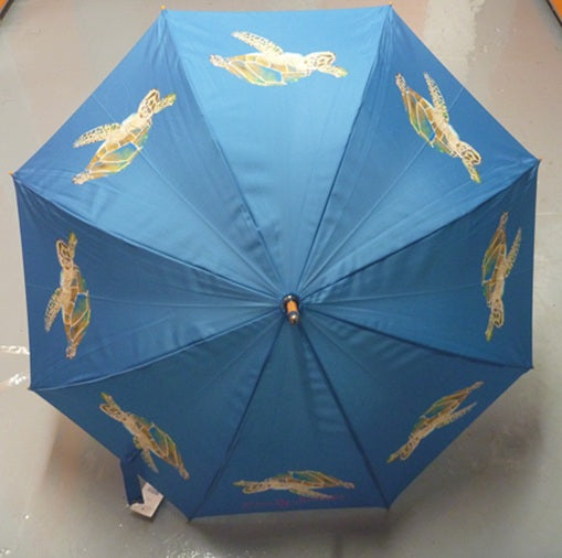 Soake Emily Smith Art Walking Stick Umbrella Thomas the Turtle