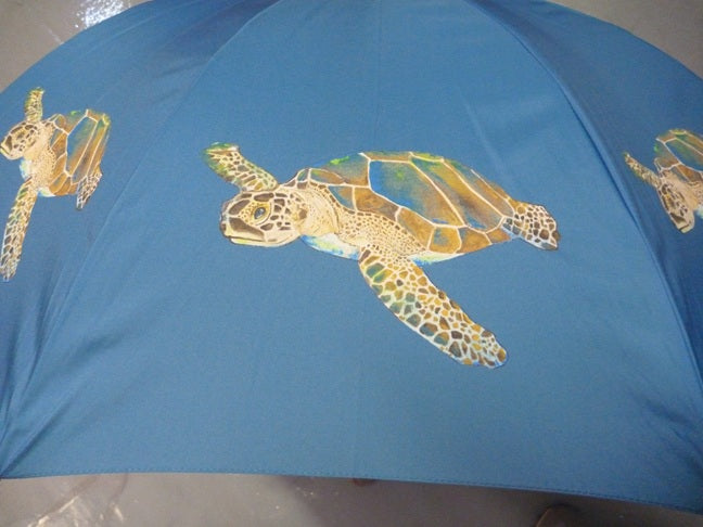 Soake Emily Smith Art Walking Stick Umbrella Thomas the Turtle