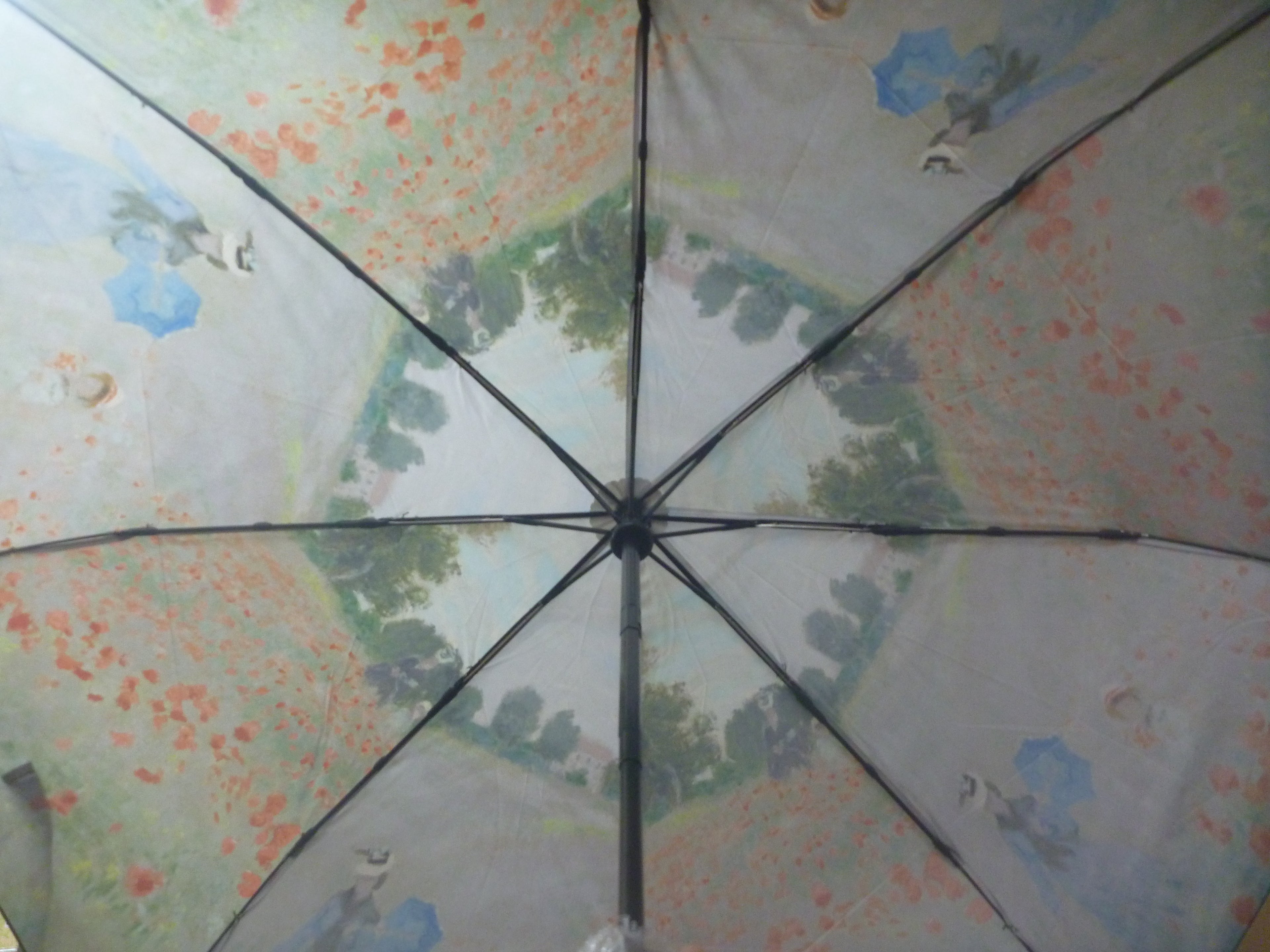 Soake Storm King Compact Folding Umbrella Monet's Poppy Fields