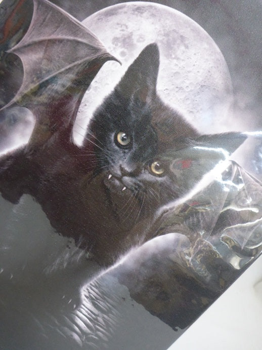 Spiral Direct Cat Bat Canvas Box Frame Wall Art 19 x 25cm