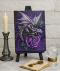 Anne Stokes Dragon Beauty Canvas Box Frame Wall Art 19 x 25cm | Spirit of Equinox